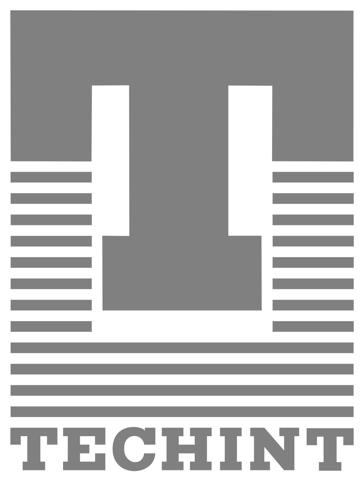 Logo Techint